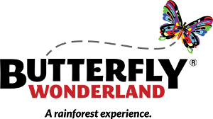 Logo Butterfly-Wonderland